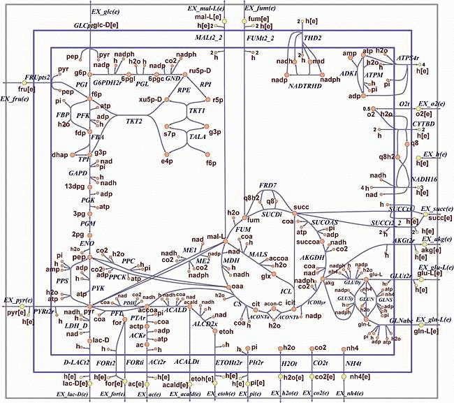 Text editor image